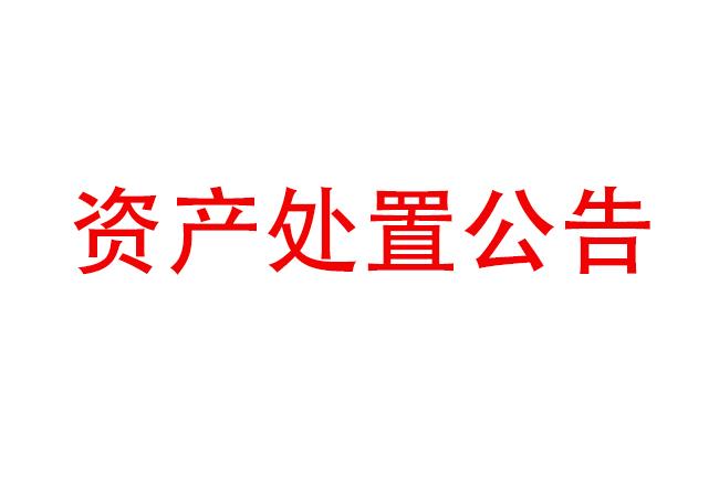 閑置設(shè)備資產(chǎn)處置公告（2023-4)